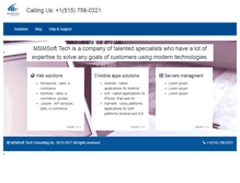 Tablet Screenshot of msmsoft.com